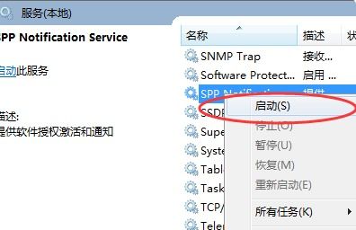 Windows 軟件保護服務詳解及其與網頁、網站設計的潛在關聯